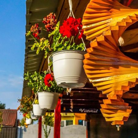 Hotel Casa El Greco Costinesti Zewnętrze zdjęcie